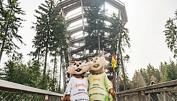 Baumwipfelpfad
